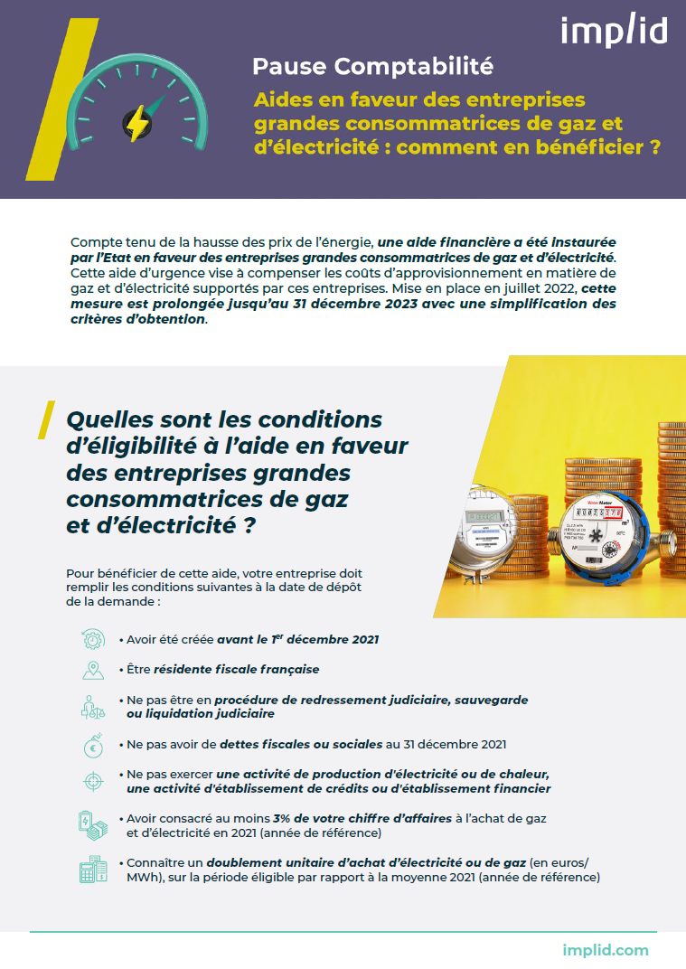 Aides aux entreprises grandes consommatrices de gaz et électricité