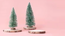 Sapins sur fond rose