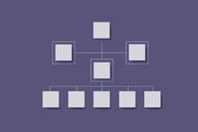 Organisation DSI