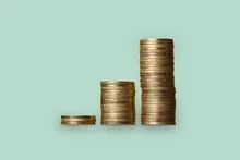 Vignette flat tax
